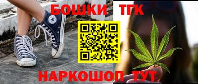 индика Ливны