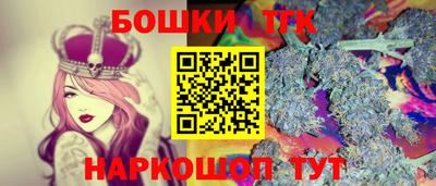 индика Ливны