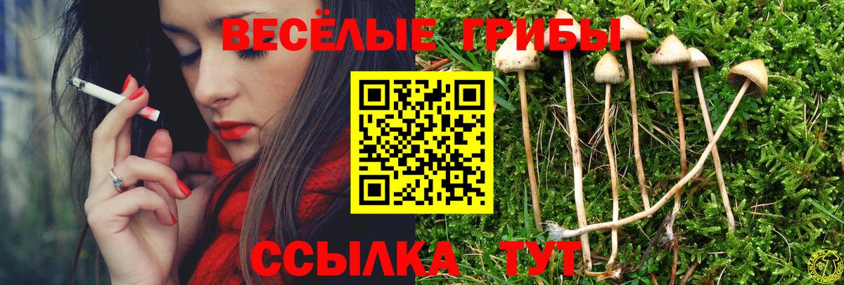Псилоцибиновые грибы мухоморы  Вход с VPN  Похвистнево  наркота  Псилоцибиновые грибы мицелий 